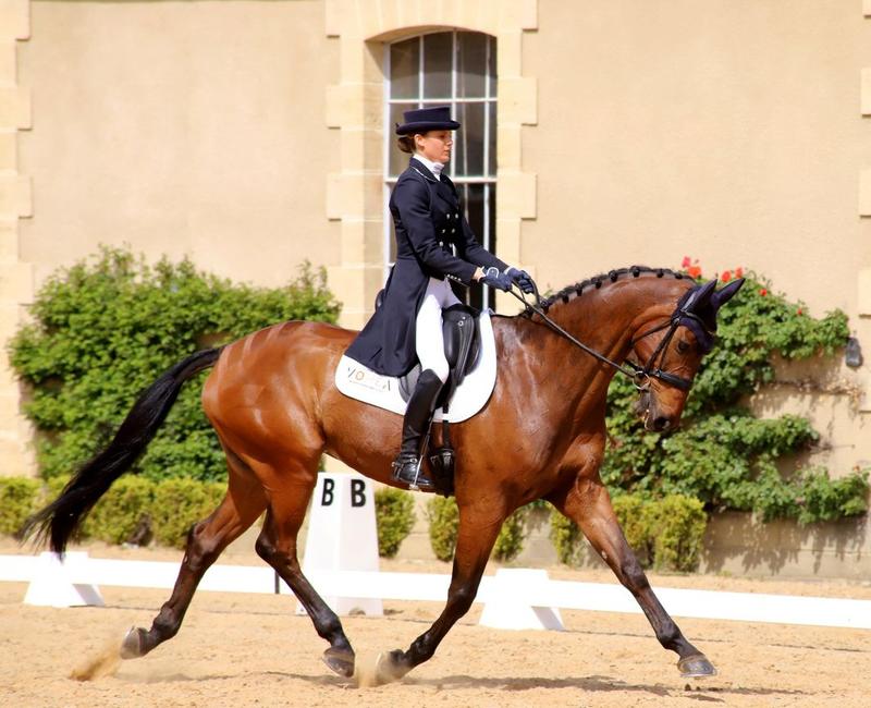 Concours national de dressage