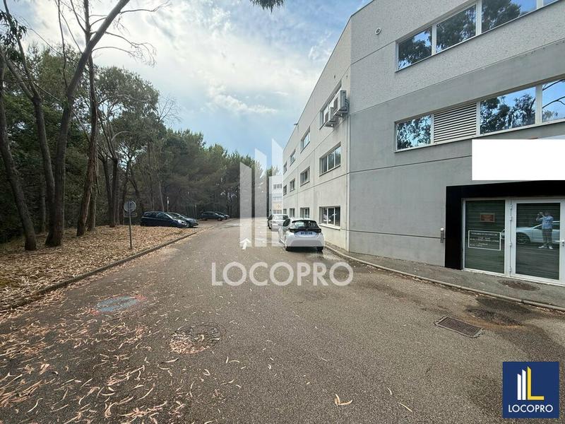 Local d'activité / Entrepôt - 706 m²