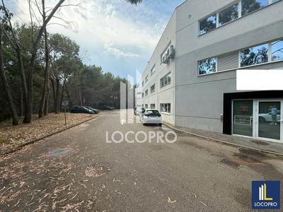 Local d'activité / Entrepôt - 706 m²