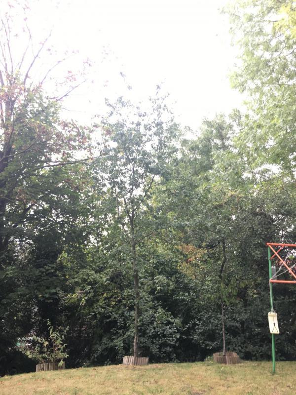 Terrain constructible - 713 m²