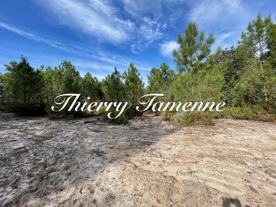 Terrain - 34 718 m²