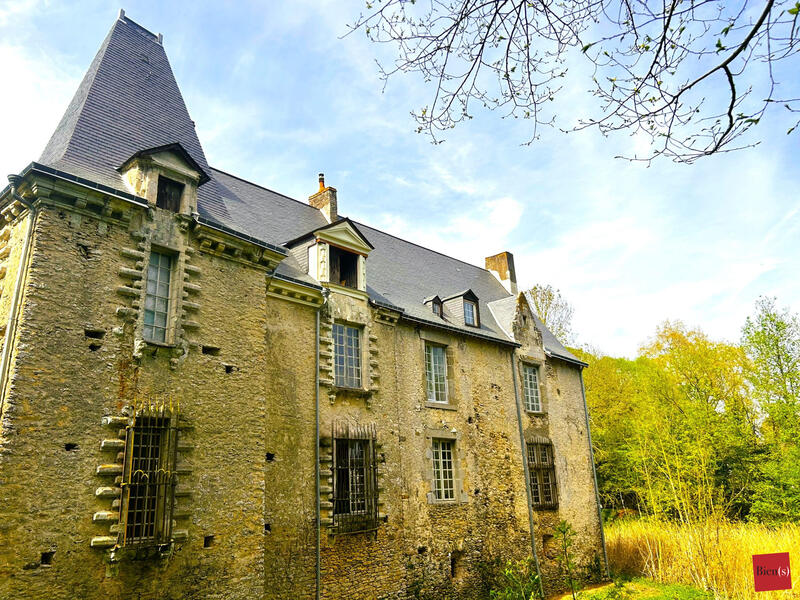 Manoir - 600 m² - 16 pièces