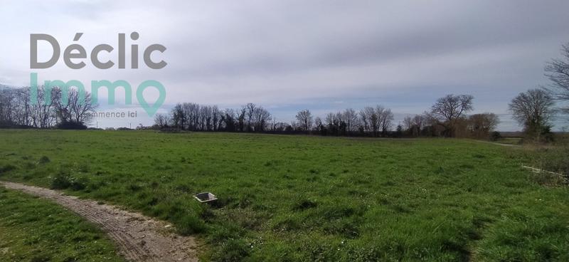 Maison - 163 m² - 5 pièces