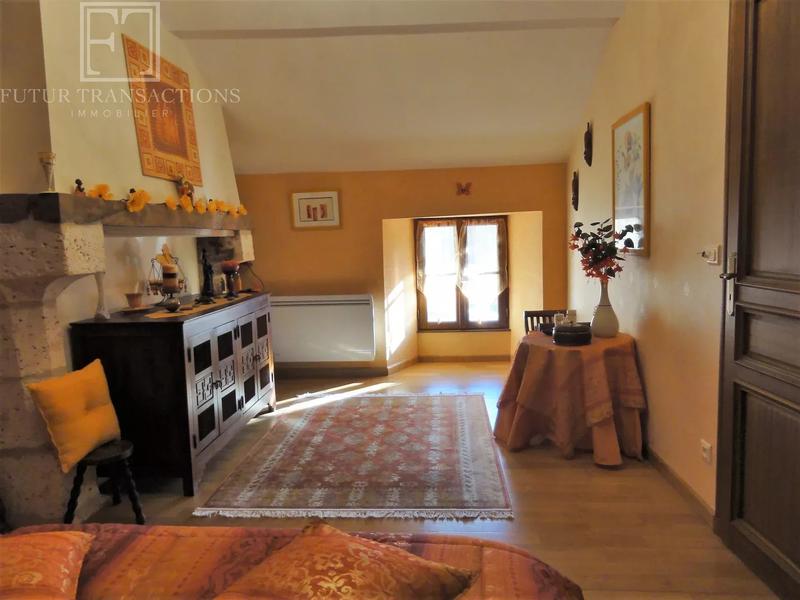 Propriété - 300 m² - 10 pièces