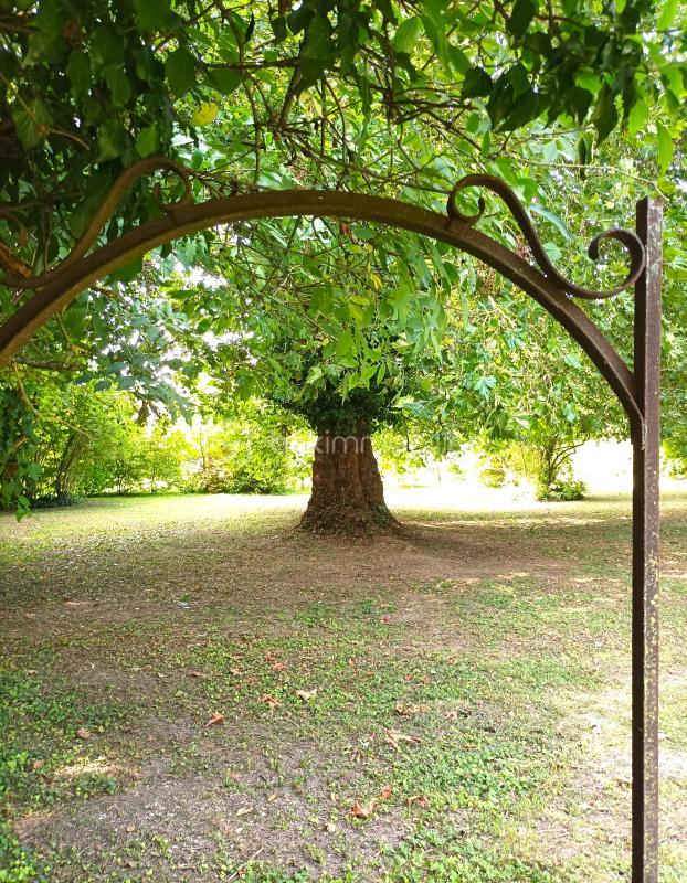 Terrain - 10 907 m²