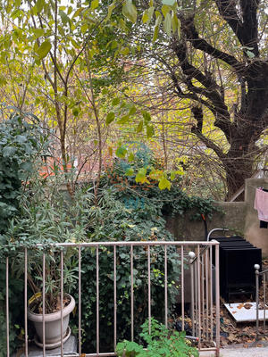 Appartement - 29 m² - 1 pièce