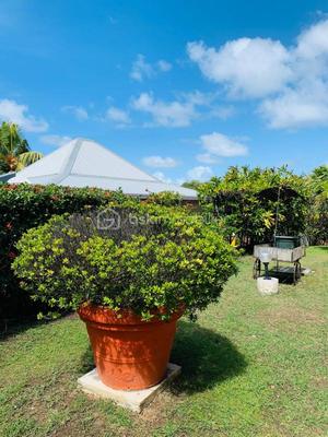 Propriété - 303 m² - 13 pièces