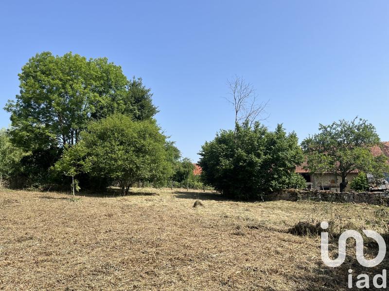 Terrain - 904 m²