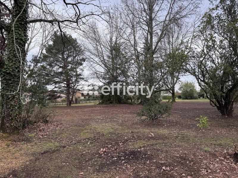 Terrain - 1 050 m²