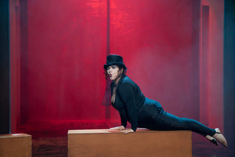 &quot;Bovary Madame&quot; Christophe Honoré