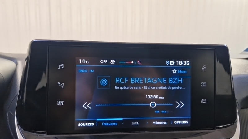 Peugeot 208 Bluehdi 100 s&amp;S Active