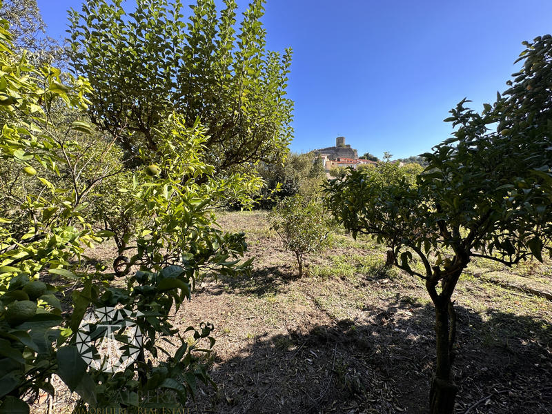 Terrain agricole - 500 m²