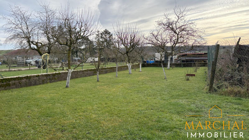 Maison - 235 m² - 7 pièces