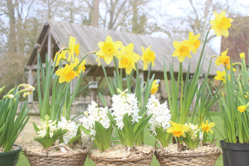 Le Jardin s'invite au Château