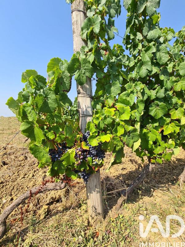 Terrain agricole - 20 497 m²