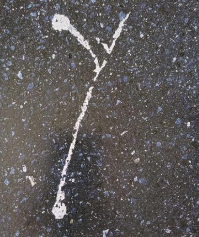 Exposition : la Lettre et l’image