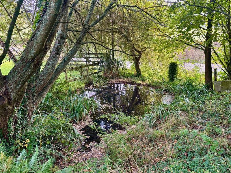 Maison en pierre - 317 m² - 15 pièces