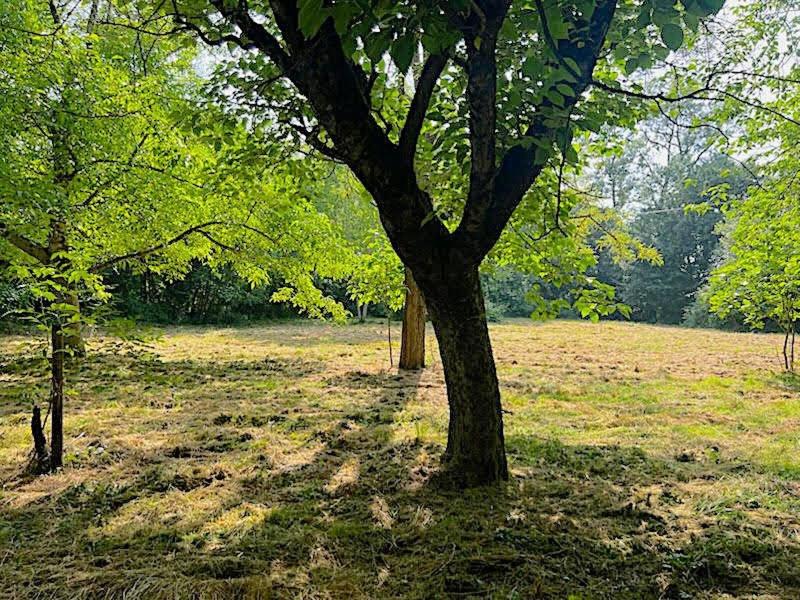 Maison - 107 m² - 6 pièces