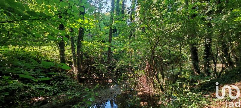 Maison - 348 m² - 10 pièces