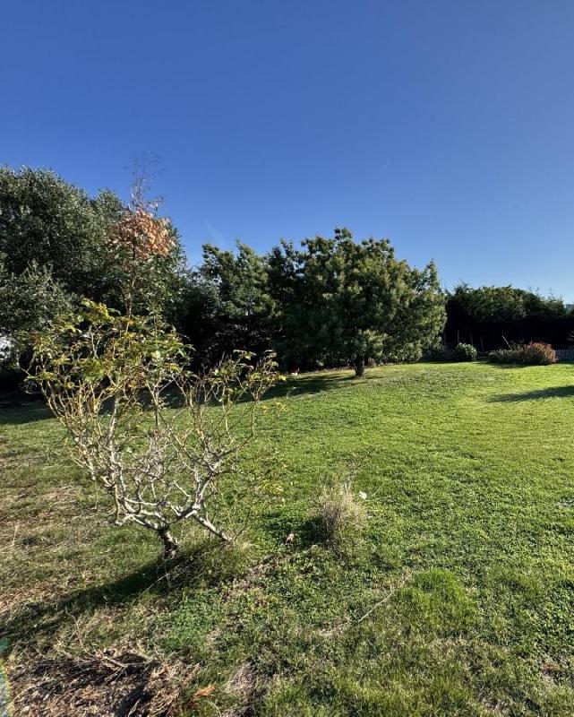 Terrain - 530 m²