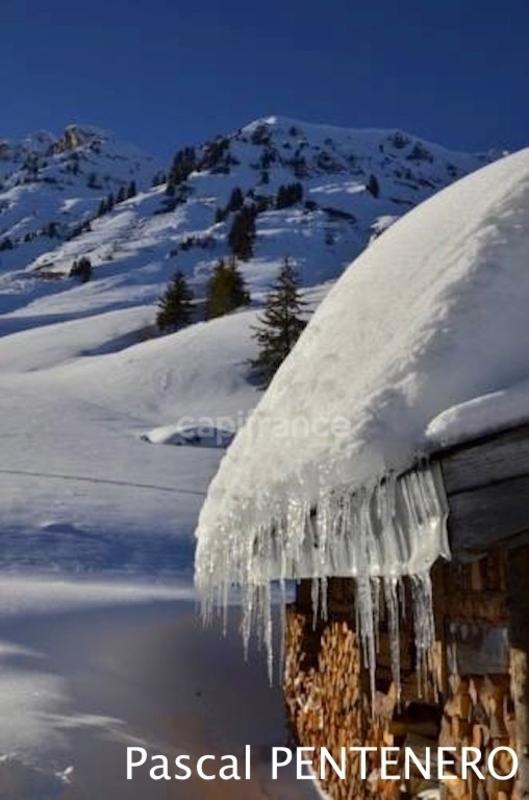 Terrain constructible - 1 000 m²