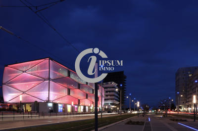 Appartement - 51 m² - 2 pièces