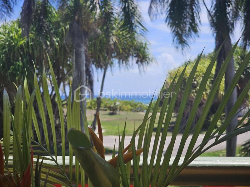 Studio - 20 m² - 1 pièce