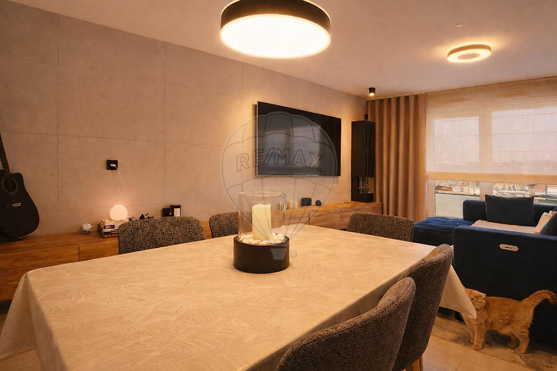 Appartement - 50 m² - 2 pièces