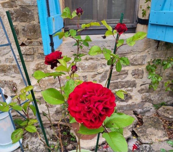 Longère - 120 m² - 4 pièces