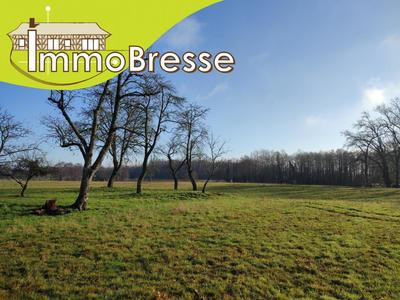 Terrain - 10 125 m²