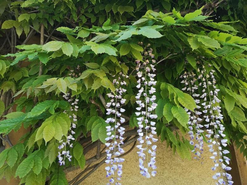 Maison - 394 m² - 10 pièces