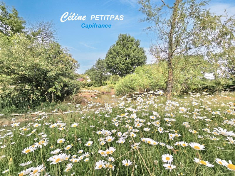 Terrain constructible - 1 240 m²