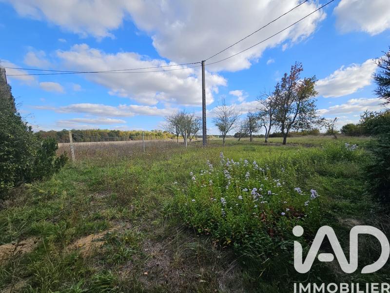 Maison de campagne - 76 m² - 3 pièces