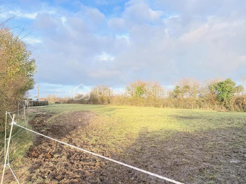 Propriété - 136 m² - 6 pièces