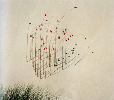 L’Eau et le Diamant