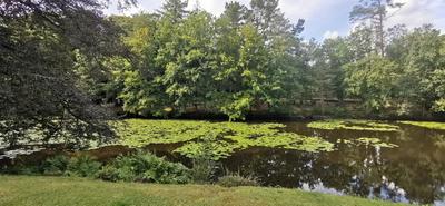 Duplex - 24 m² - 2 pièces