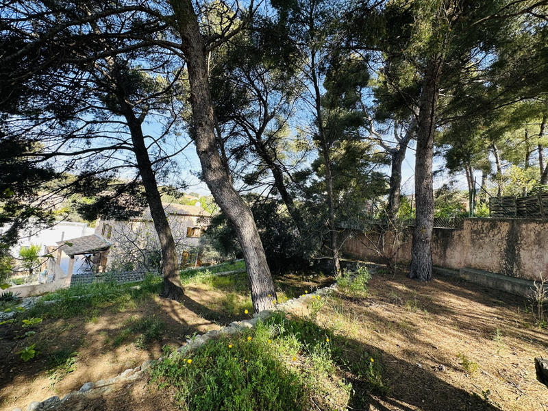 Terrain - 285 m²