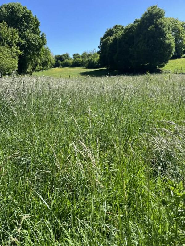 Ferme - 140 m² - 5 pièces
