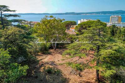 Villa - 525 m² - 7 pièces