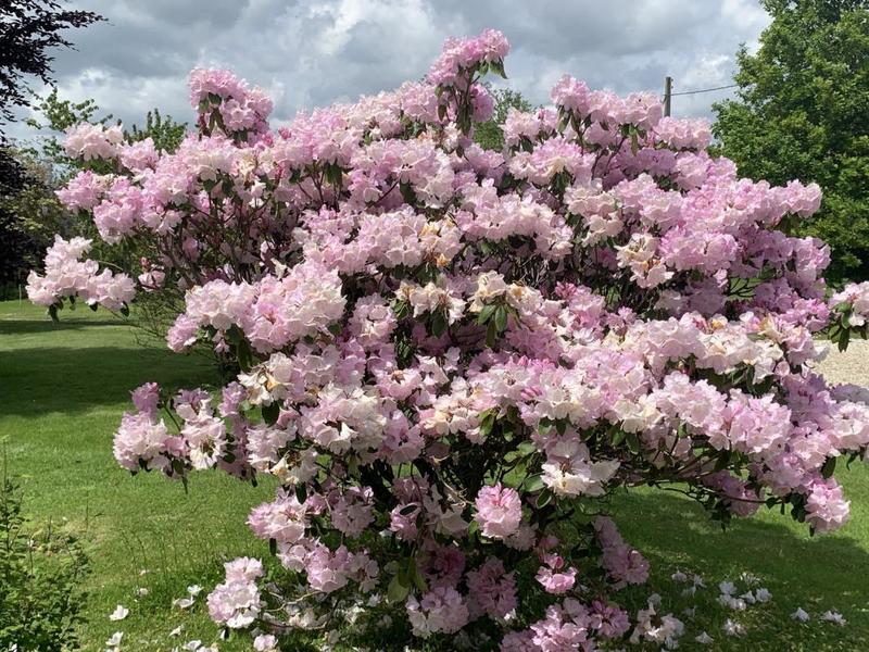 Maison de campagne - 135 m² - 5 pièces