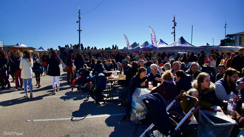 Les Oursinades de Carry-le-Rouet