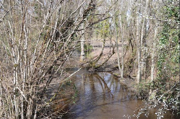 Terrain de loisirs - 22 000 m²