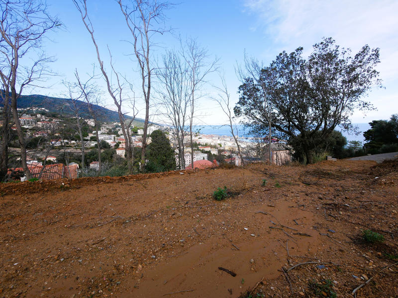 Terrain - 2 358 m²