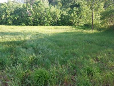 Terrain constructible - 1 262 m²