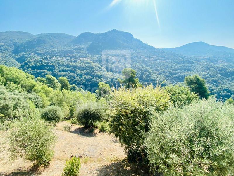 Terrain constructible - 1 400 m²