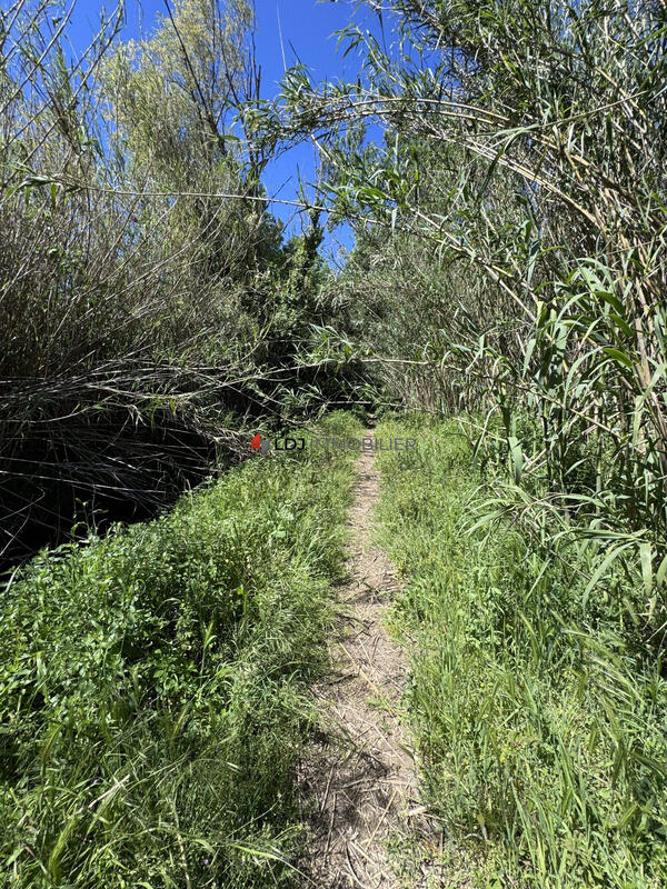 Terrain agricole - 2 926 m²