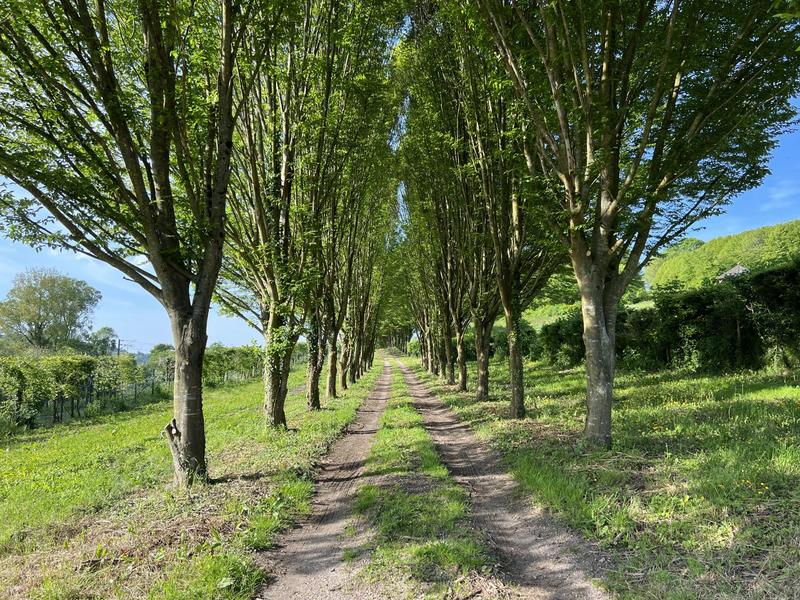 Maison - 420 m² - 11 pièces