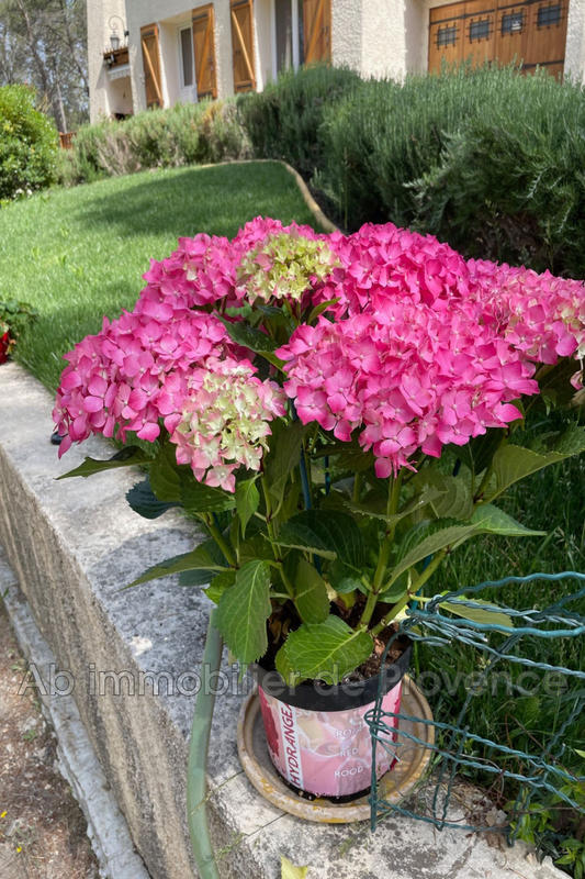 Maison - 9 720 m² - 3 pièces