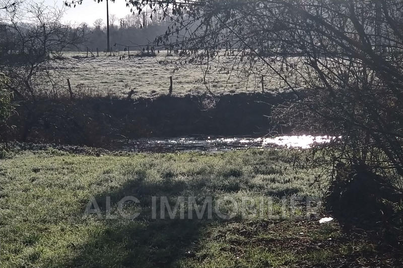 Terrain de loisirs - 5 690 m²