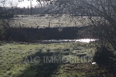 Terrain de loisirs - 5 690 m²